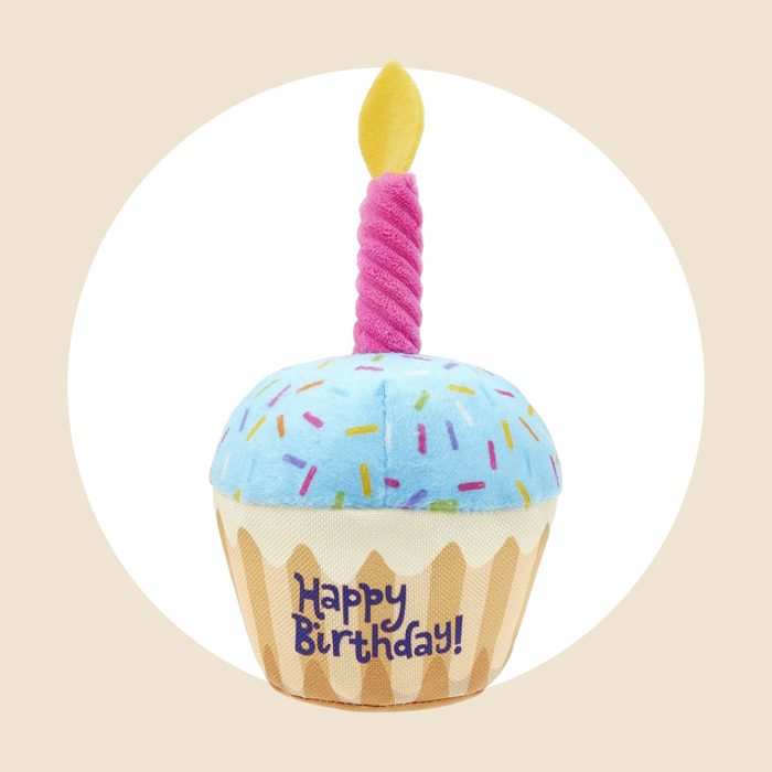 Plush Birthday Cupcake Dog Toy Ecomm Via Chewy.com