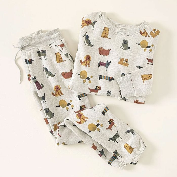 Dog Lovers Cozy Sweatshirt And Jogger