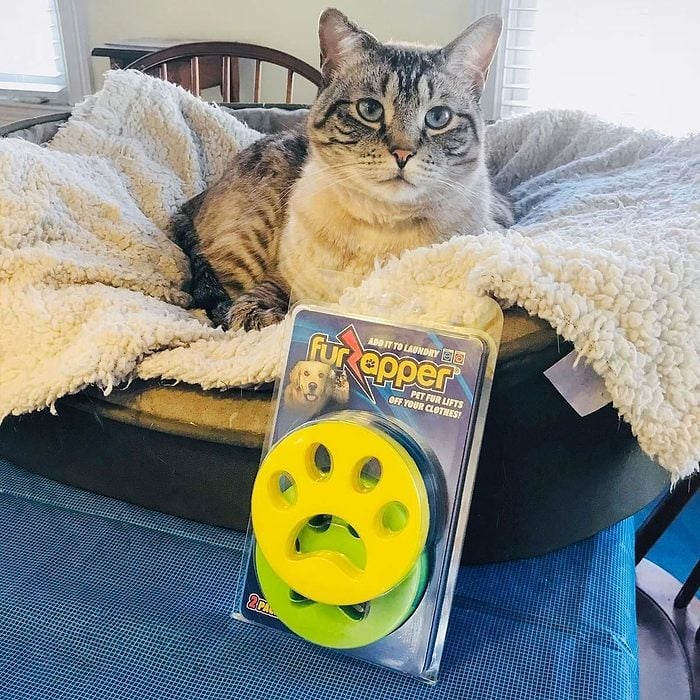 Trinity With Furzapper