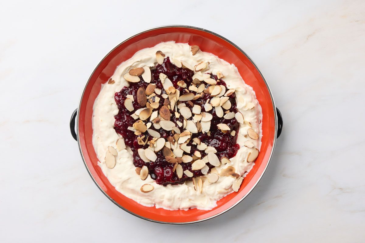 48011 Cranberry Dip