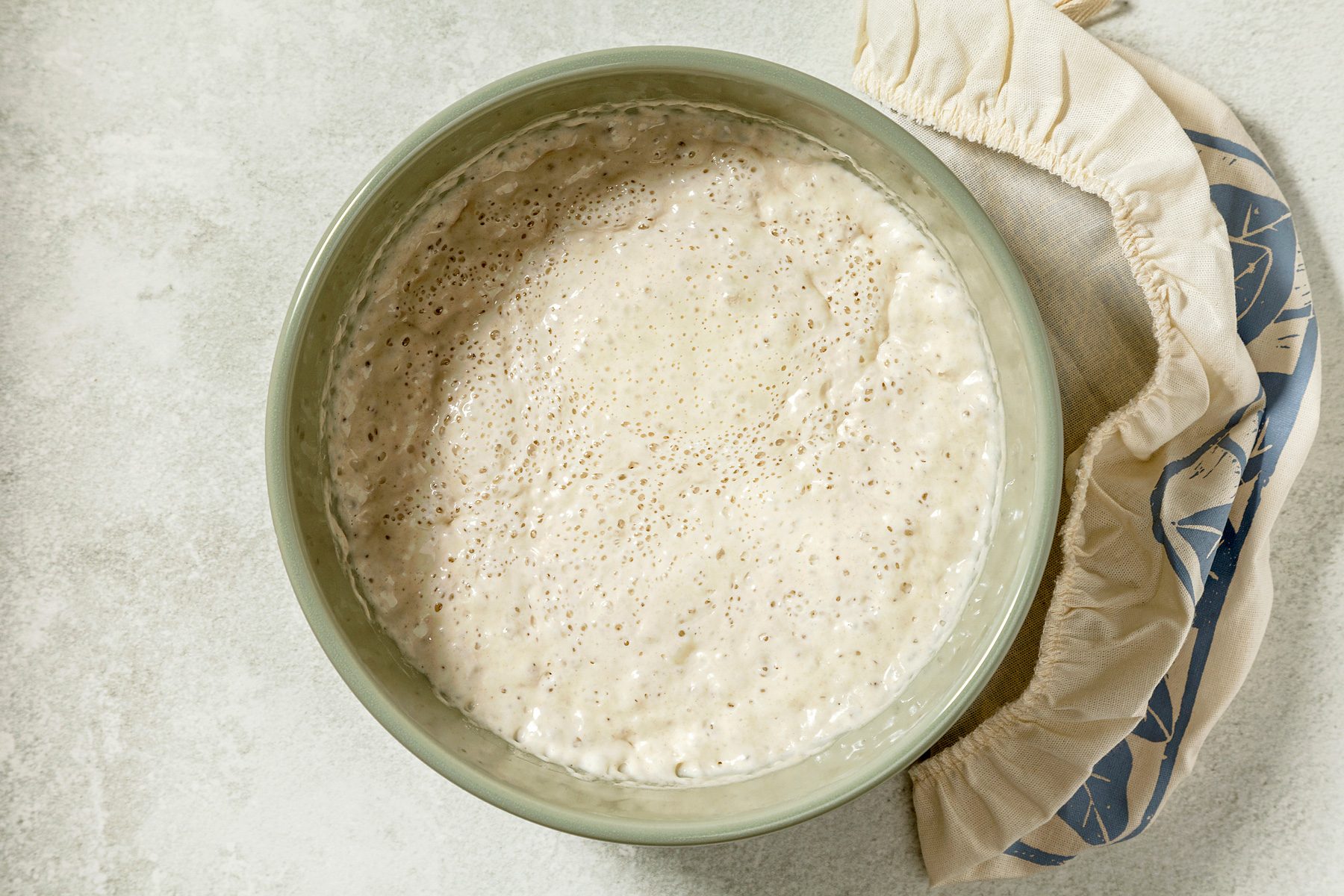 overhead shot of a bowl of sourdough starter, The starter is a bubbly, frothy mixture with a light tan color, It appears to be rising and active, a cloth is placed near the bowl;