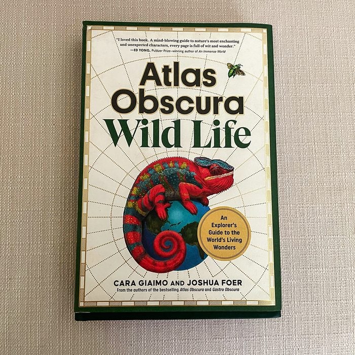 Atlas Obscura