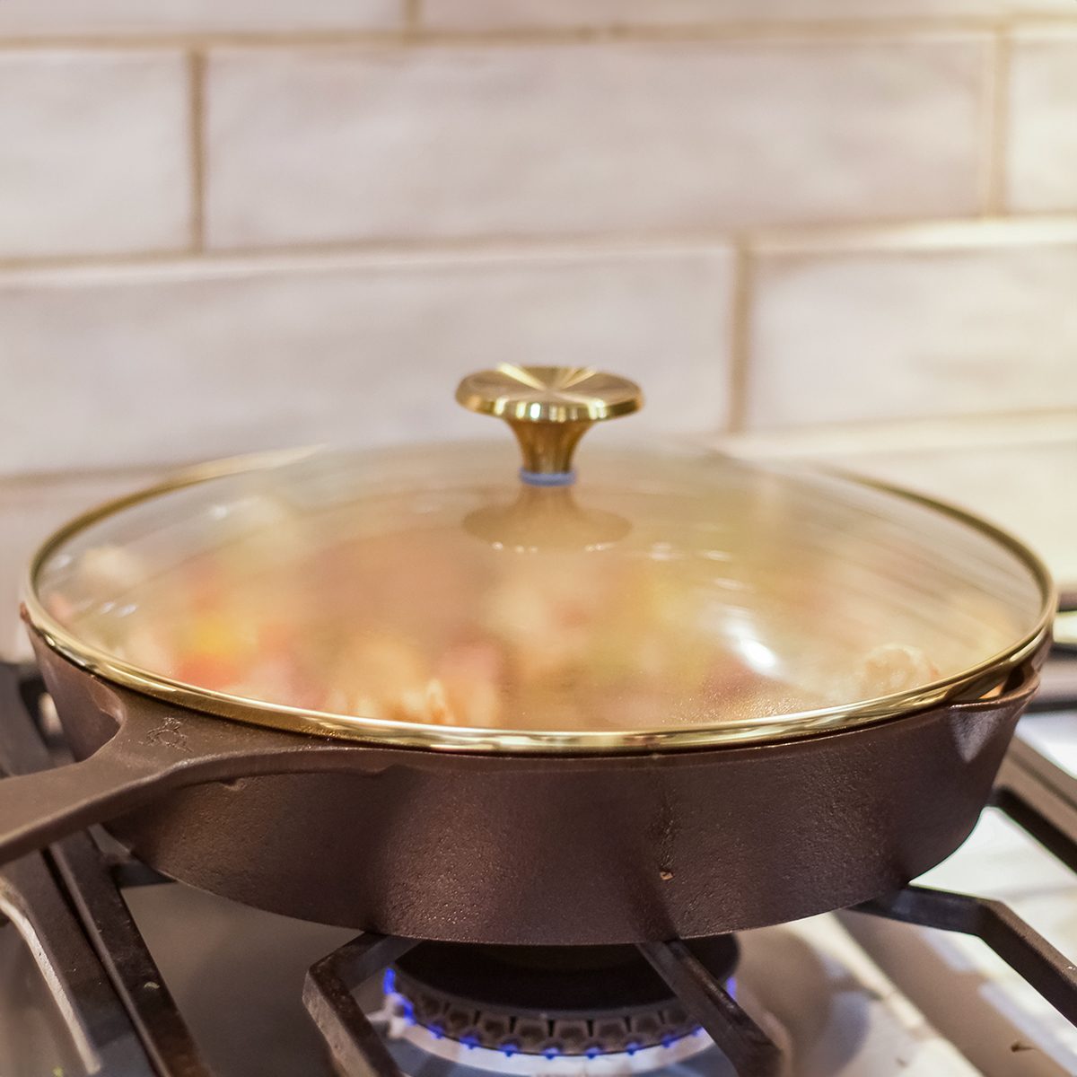 Toha24 Smithey Cast Iron Skillet Daria Smith 01 Yvedit