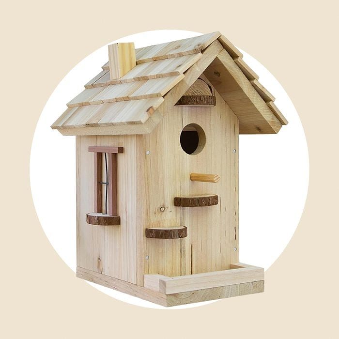 Bird House Kit Ecomm Via Amazon.com (1)