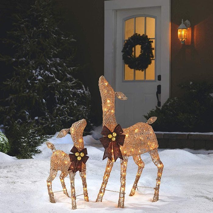 Deer