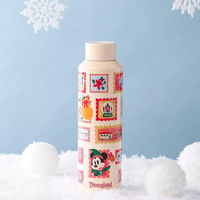 Mickey Mouse And Friends Holiday Stainless Steel Starbucks® Water Bottle – Disneyland