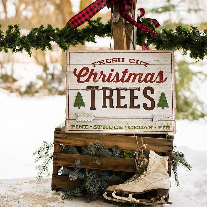 Shutterstock  1011309526 Holiday 1