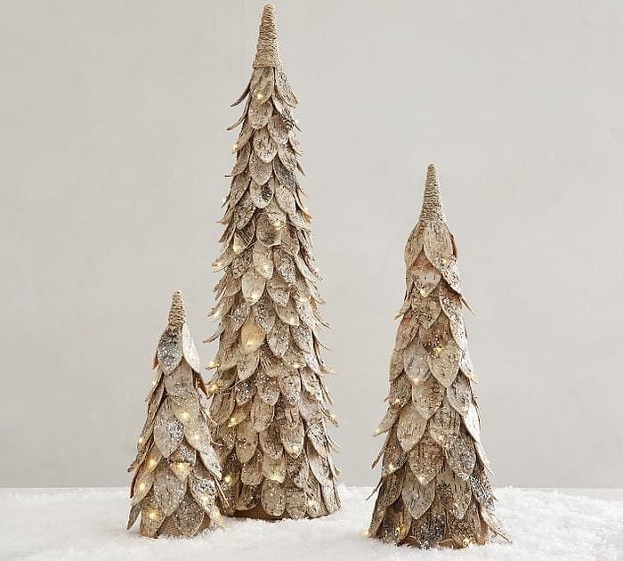 Rustic Birch Trees