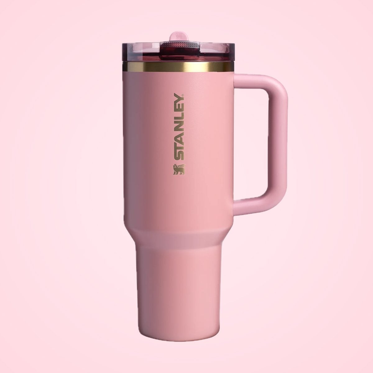 Stanley Quencher ProTour: This New Leak-Proof Tumbler Solves a BIG Problem