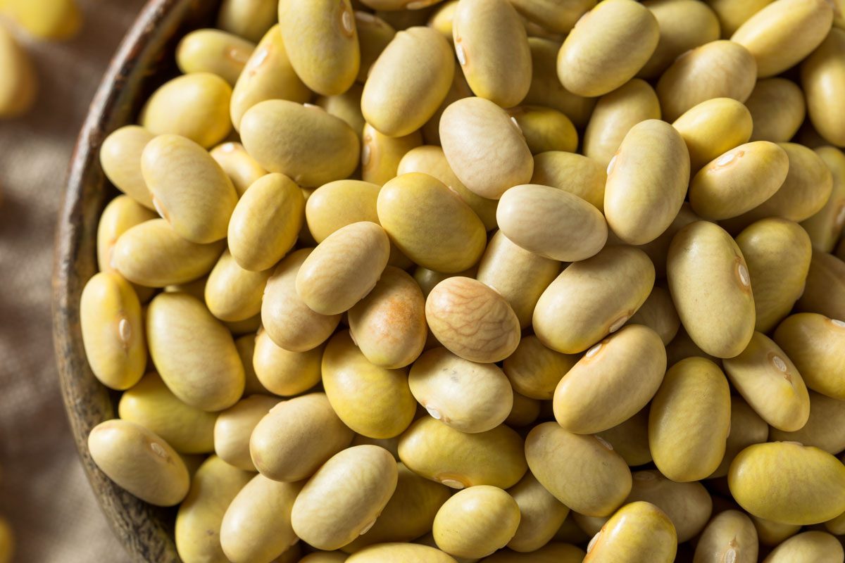 What Are Mayocoba Beans Gettyimages 1166482435