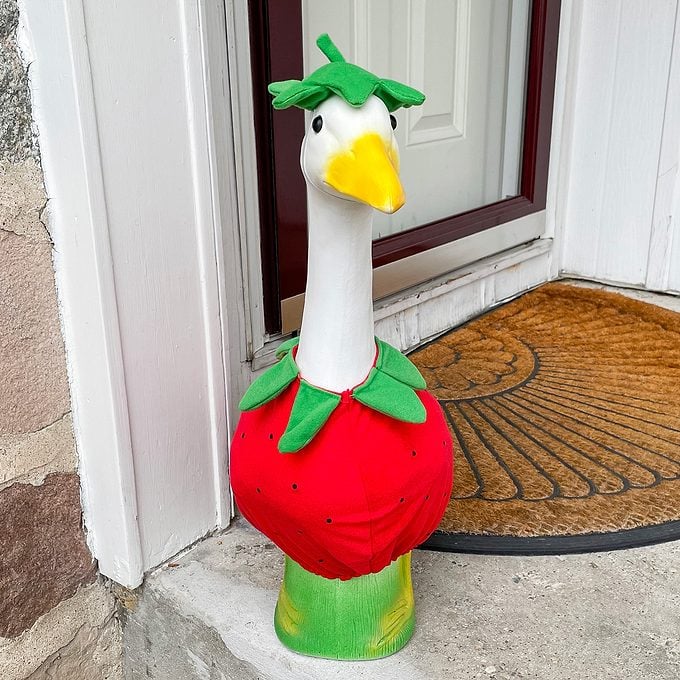 Toha23 Porch Goose Katie Bandurski 01d Stedit