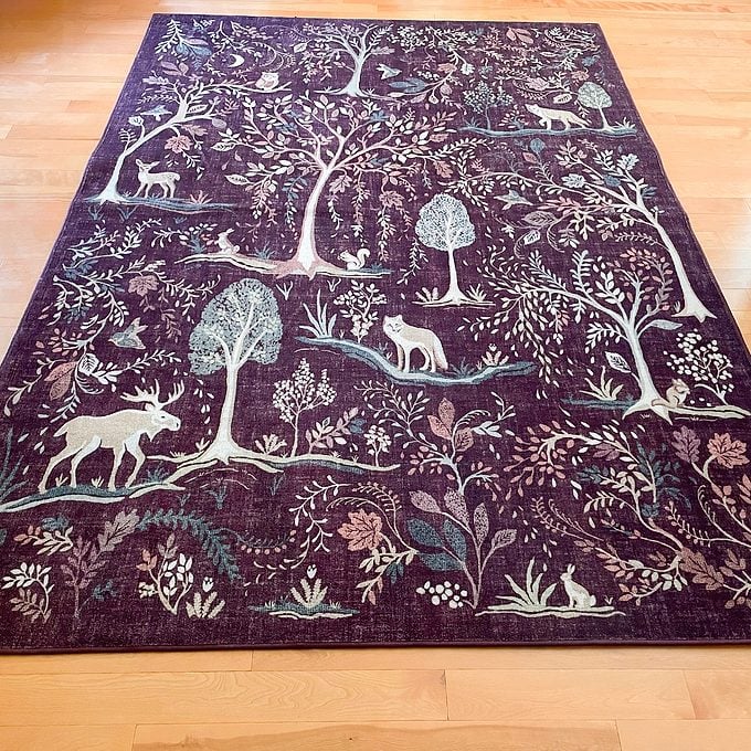 A rug lying on the floor