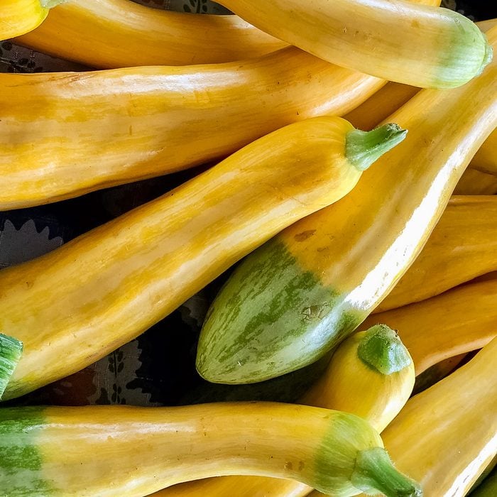 Zephyr Squash