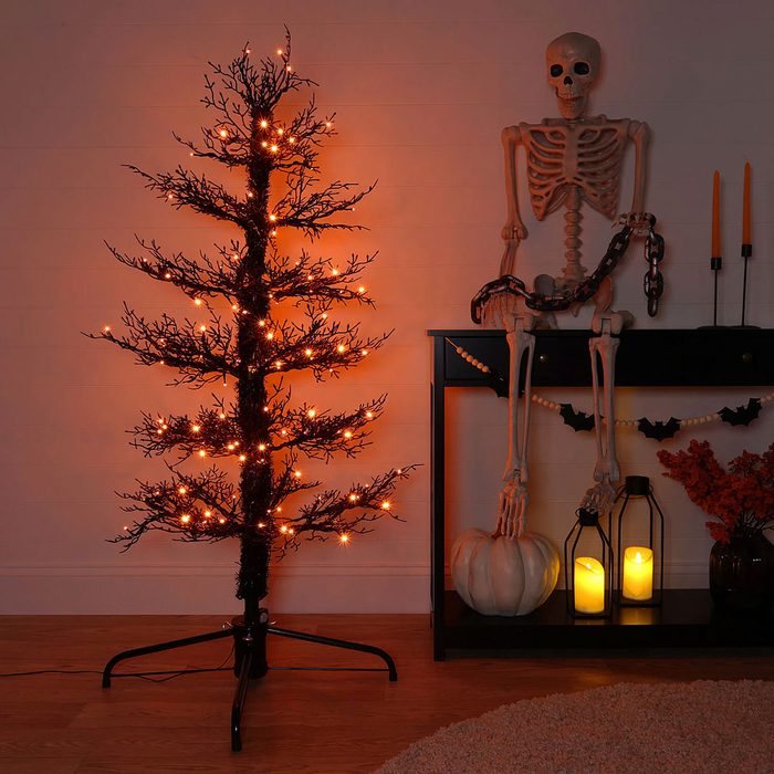 Lighted Tree