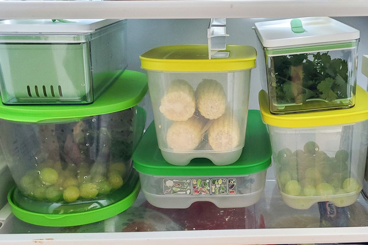 Top Fridge Containers