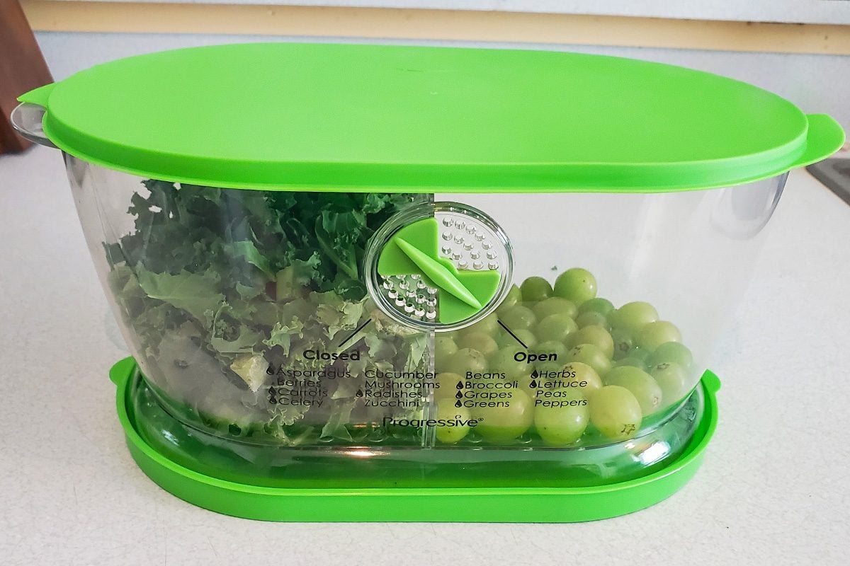 Top Fridge Containers
