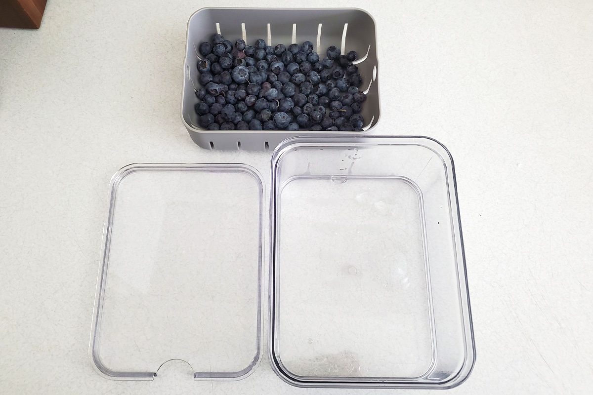 Top Fridge Containers