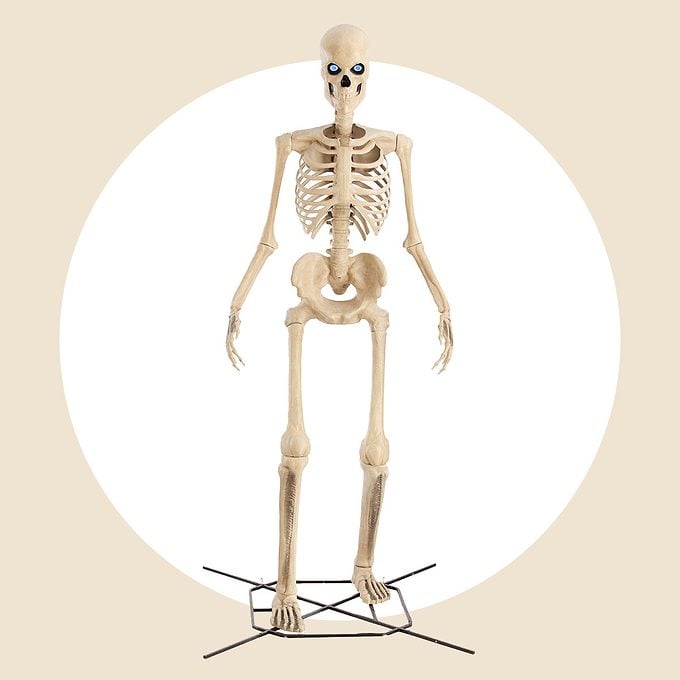 The Home Depots Giant Skeleton