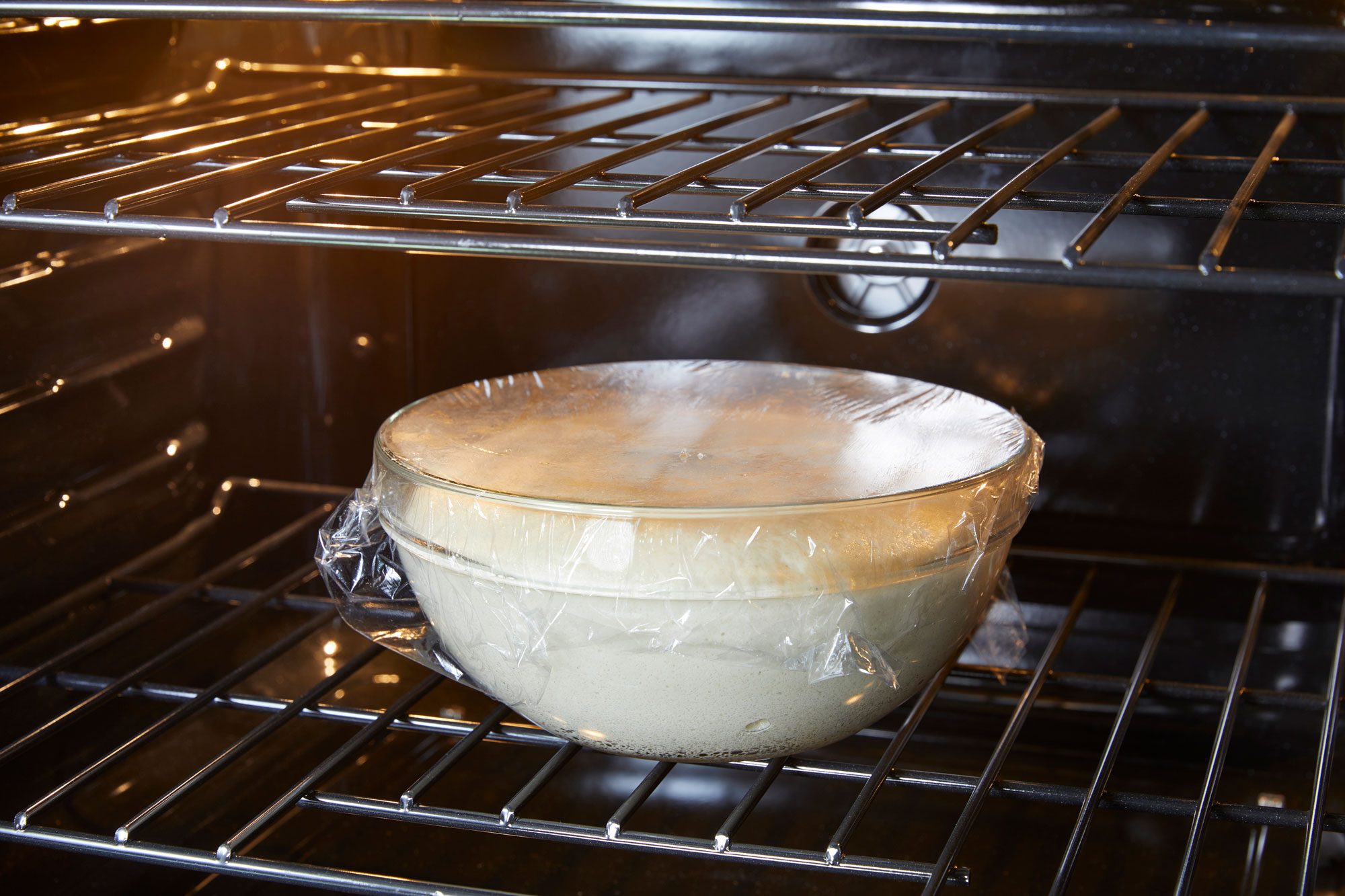 Proofing Oven