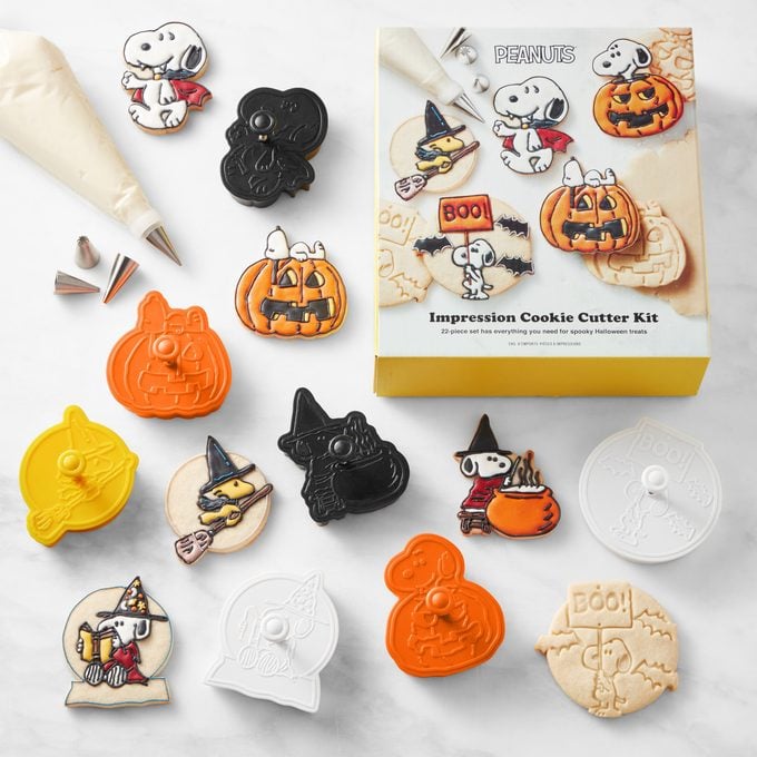 Snoopy Cookie Cutter Kit
