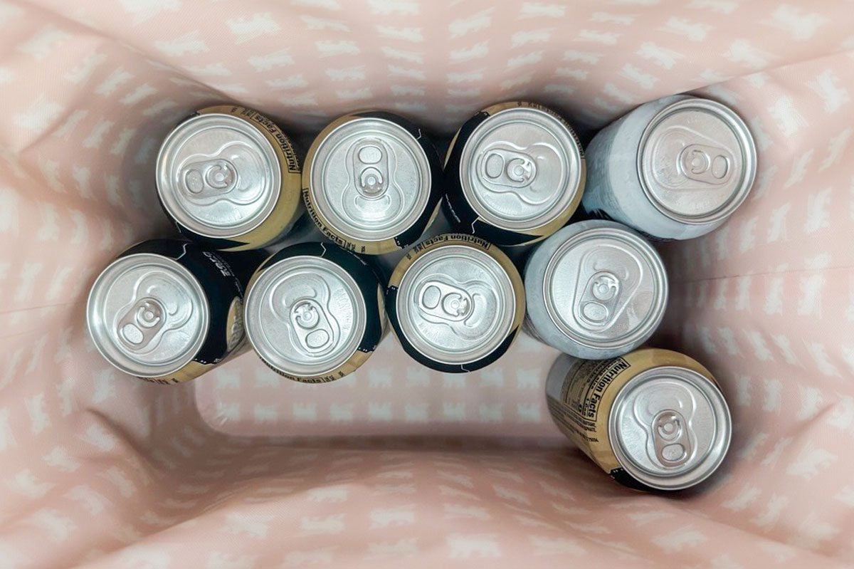 We Tried A Stanley Cooler Capacity