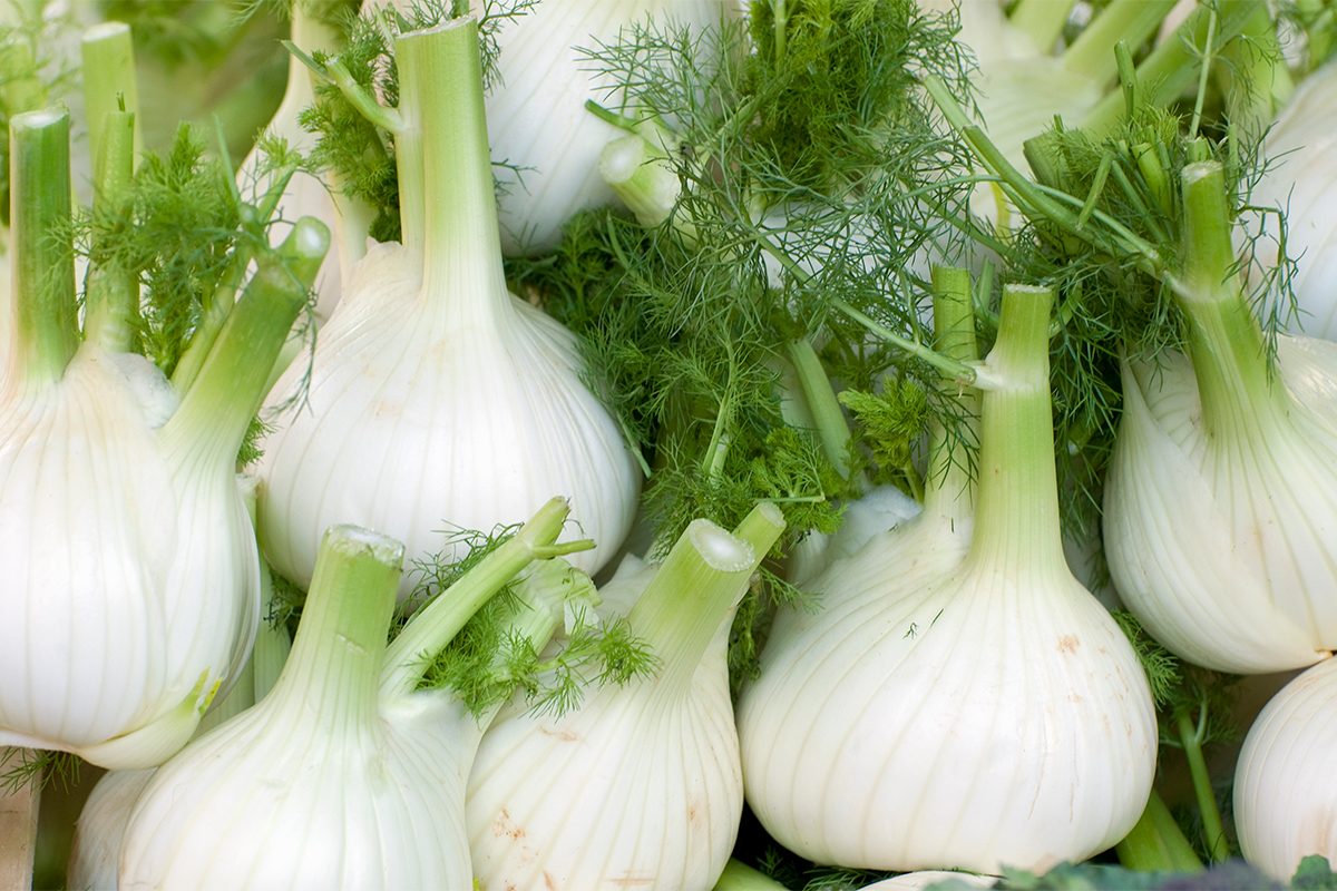 12 Ways To Stuff A Turkey Without Stuffing Gettyimages 121842325