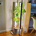 Gardyn Review: I Have a Black Thumb and Could Still Grow Food with This Hydroponic Garden