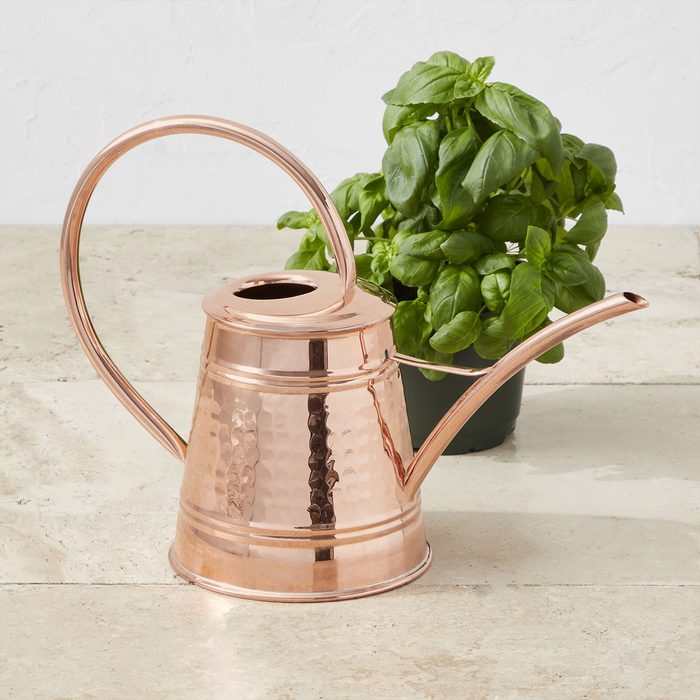 Best Christmas Gift Ideas For Her Williams Sonoma Tall Copper Watering Can Merchant