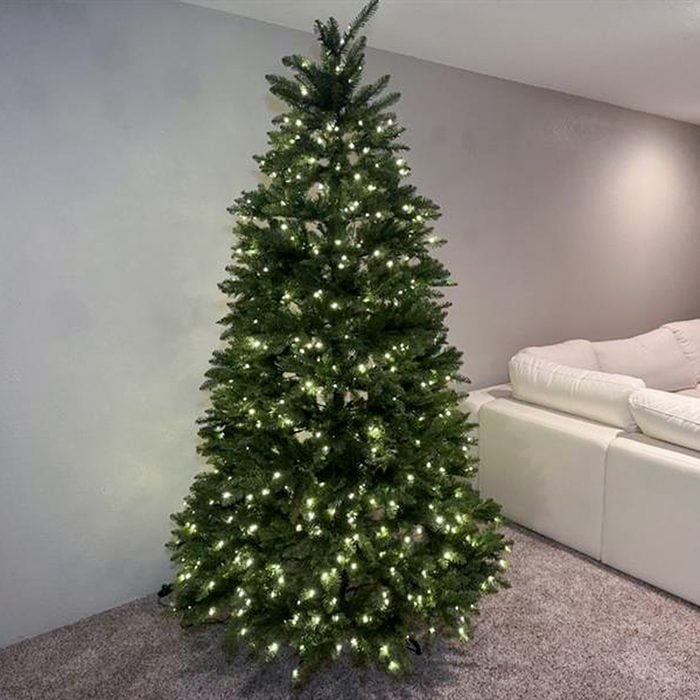 Toha25 King Of Christmas Yorkshire Fir Mary Henn 01 Ssedit