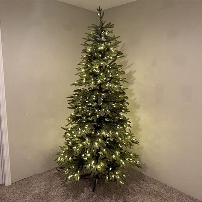 Toha25 Silverado Slim Tree Mary Henn 01 Ssedit