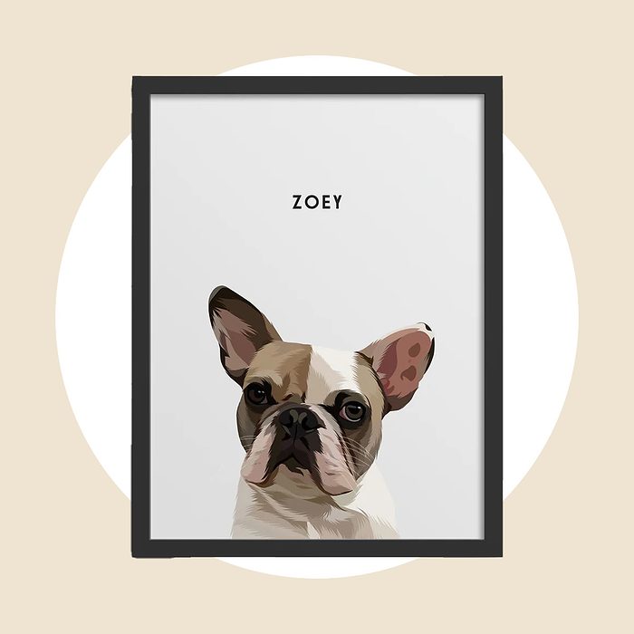 Custom Pet Portrait