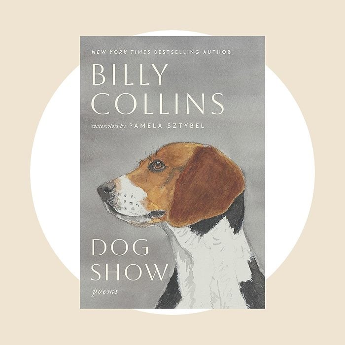 Dog Show
