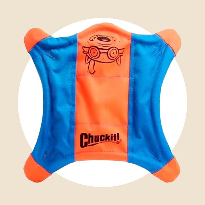 Flying Squirrel Fetch Dog Toy