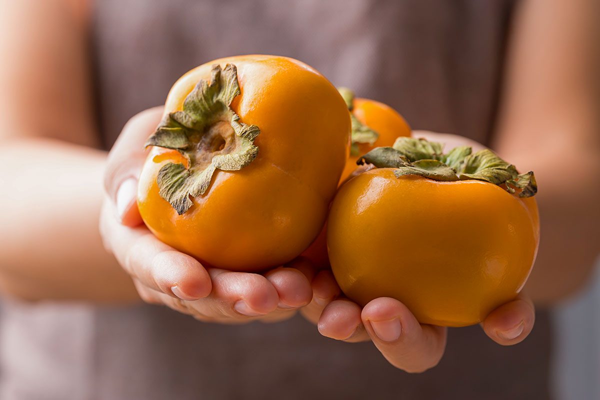Ripe persimmon fruit holding by womand hand