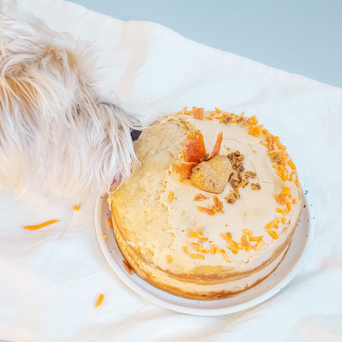Dog Birthday Cake