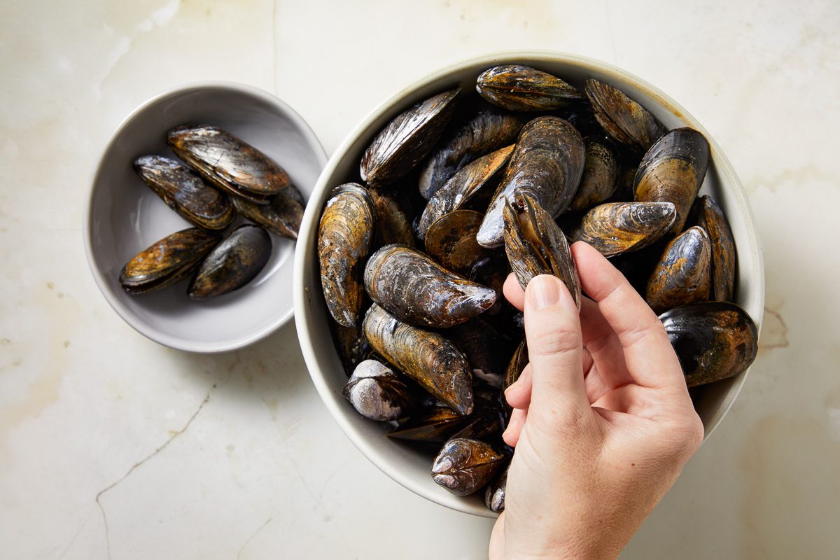 checking mussels