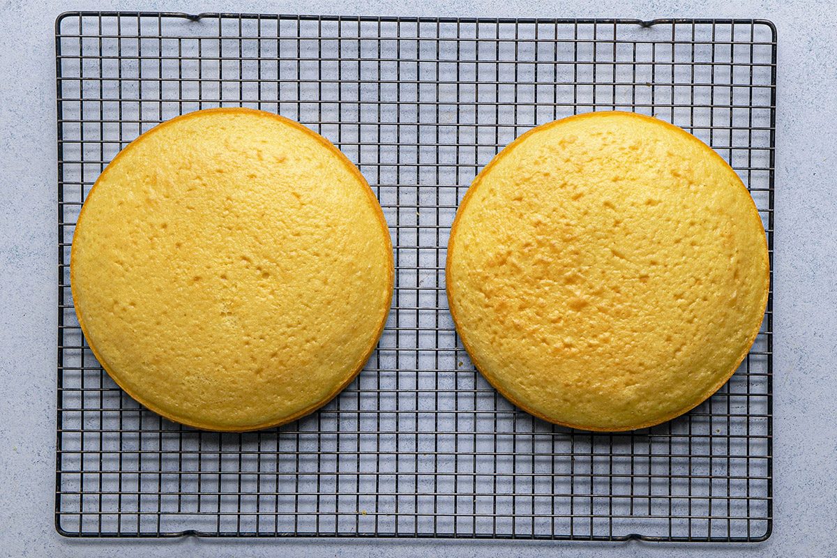 Overhead shot of two round golden sponge cakes cooling side by side on a black wire rack set on a light-colored surface;