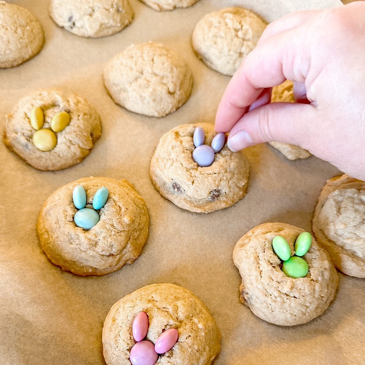 This M&m Trick Makes The Bunny Cookies 2 Lindsay Parrill For Taste Of Home Atedit Ft