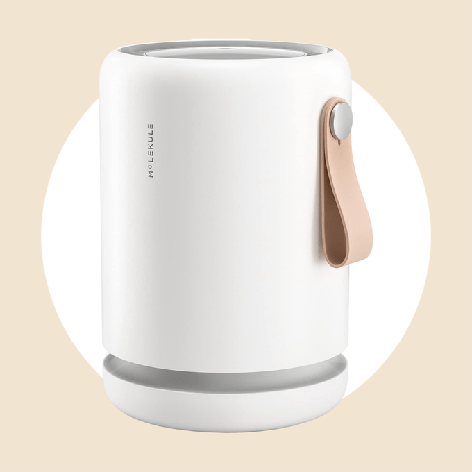 Molekule Air Purifier Via Amazon.com