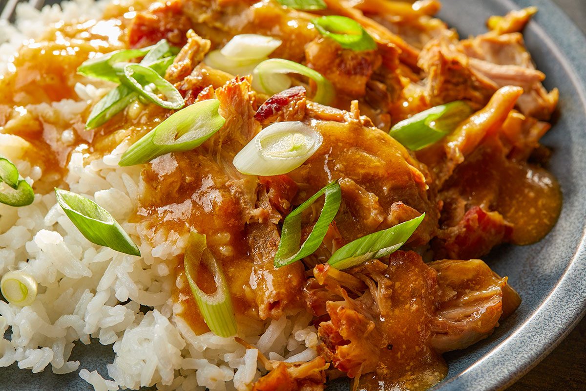 Close-up horizontal image of shredded pork and sauce over rice highlighting texture and garnish.