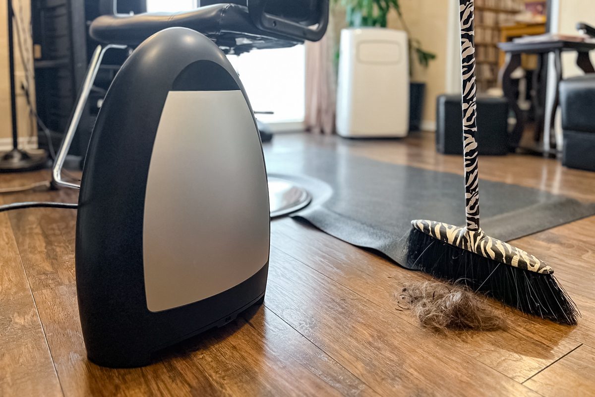broom behind pet hair near an Eyevac Home Touchless Dustpan