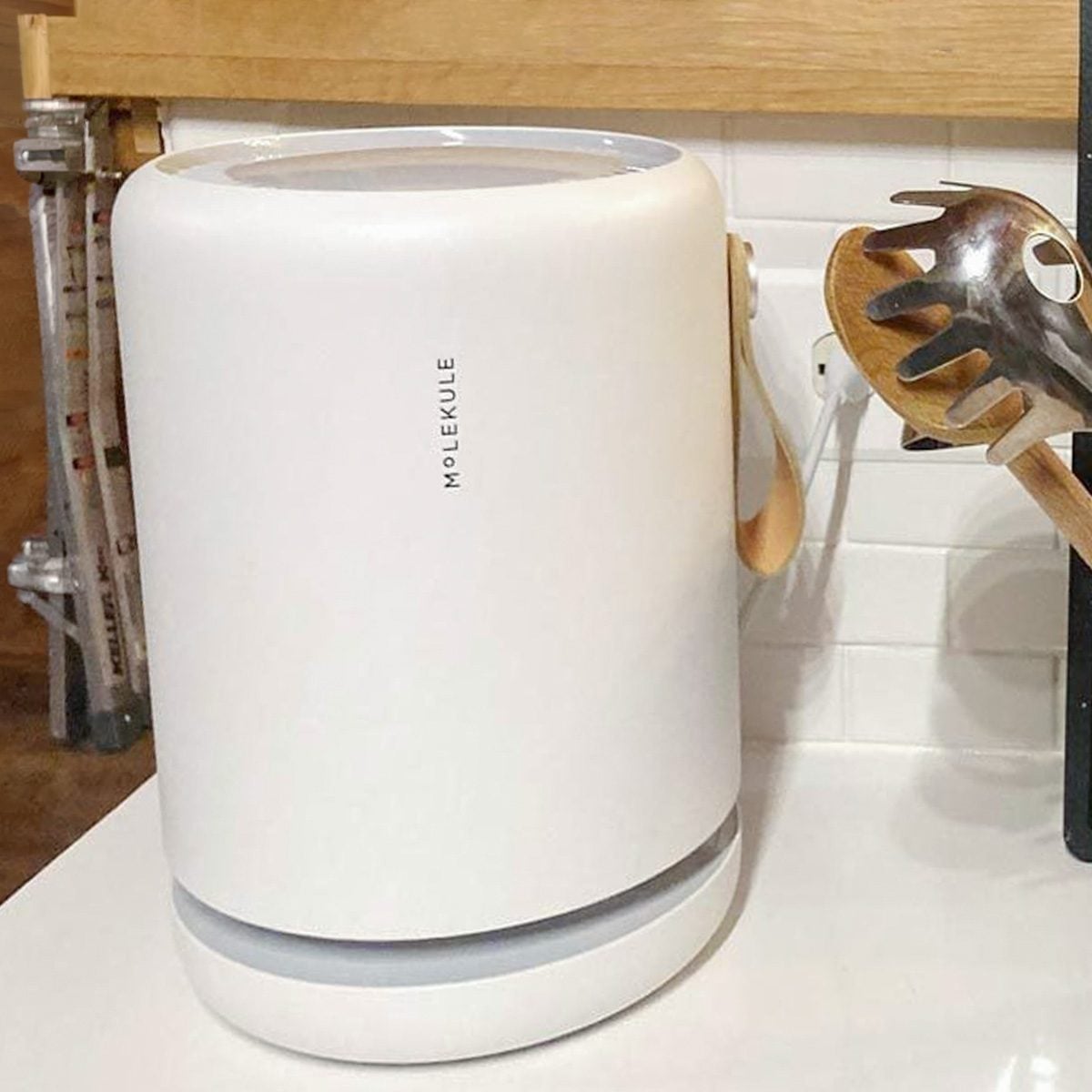 Molekule Air Purifier Review: This Appliance Eliminates Even the Toughest Kitchen Odors