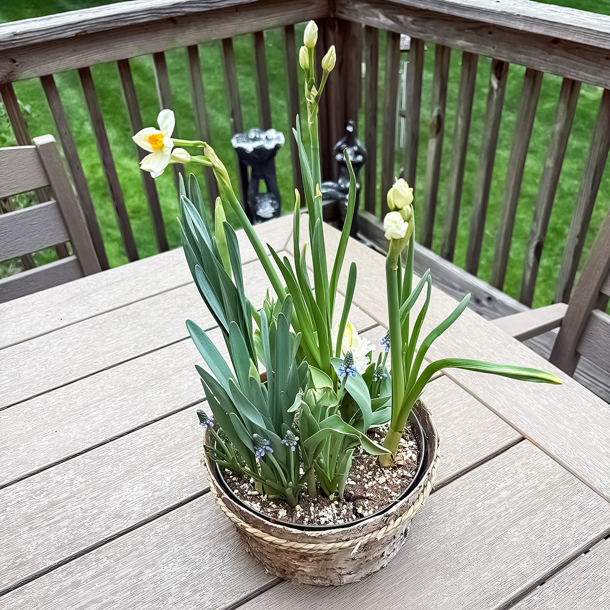 Smiles Bulb Garden