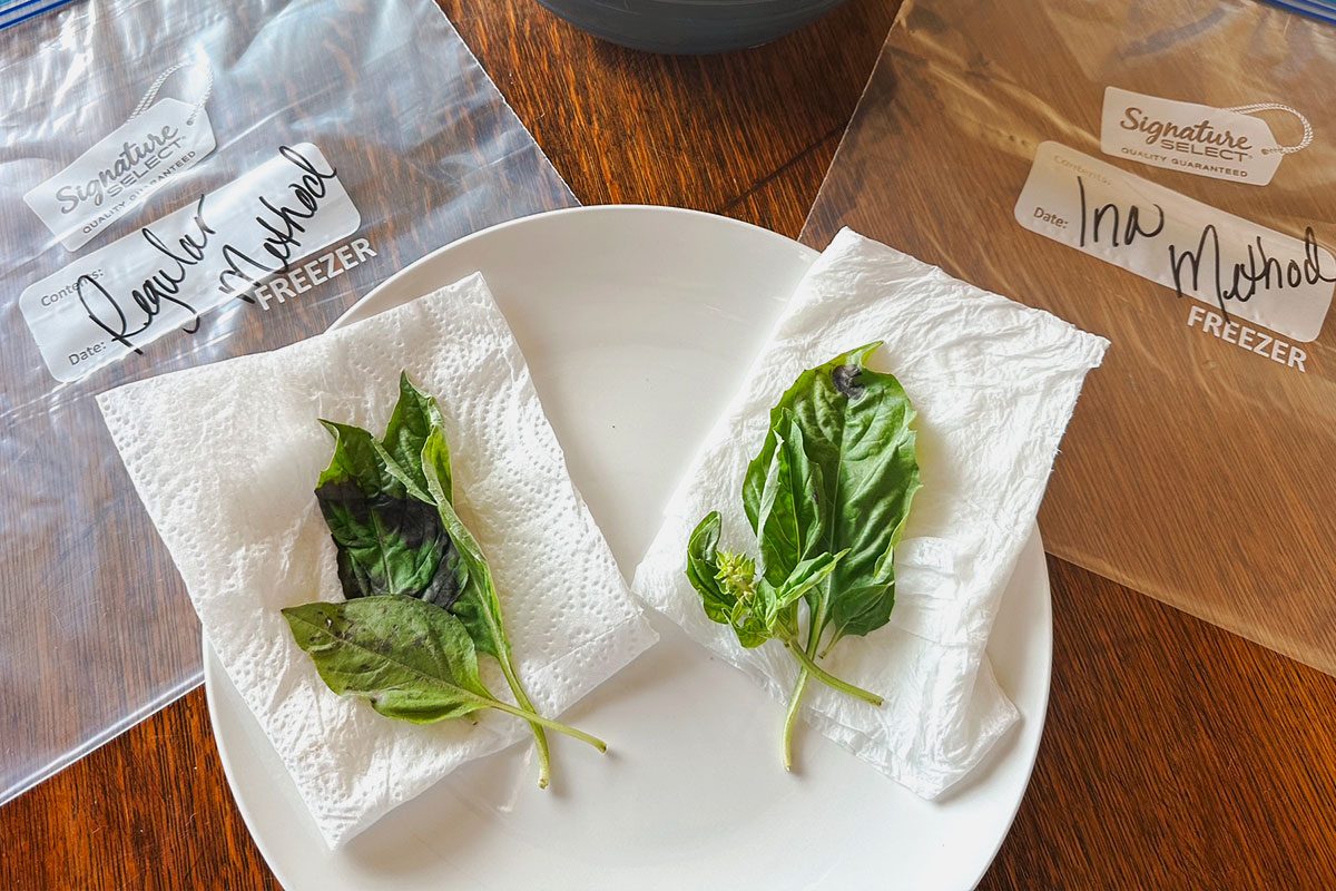 The Best Way To Keep Herbs Fresh Ina Herbs Lindsay Parrill For Taste Of Home