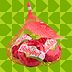The Internet Found a Better Way to Eat Babybel Cheese, and I Can't Believe I Hadn't Thought of This