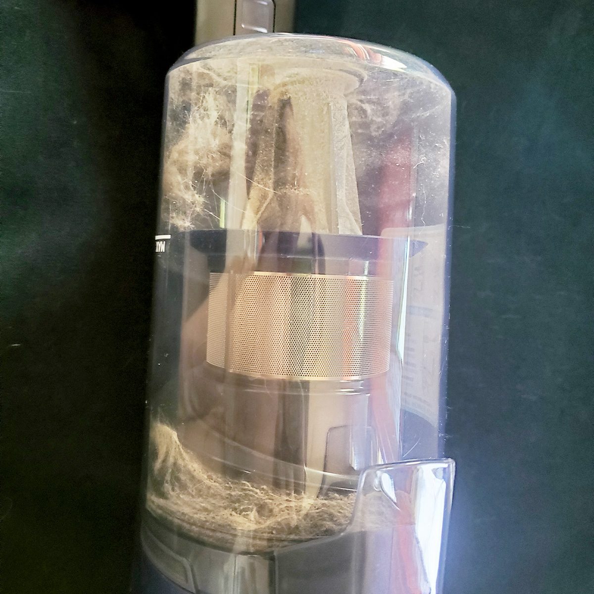 We Tried The Bissell Powerclean Dualbrush 20260504 125320 Emily Way For Taste Of Home