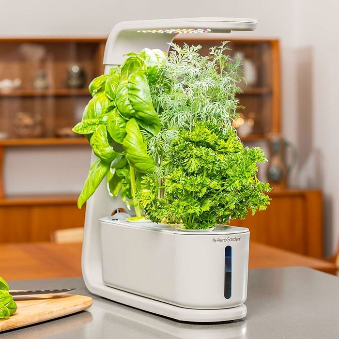 Aerogarden Sprout With Gourmet Herb Seed