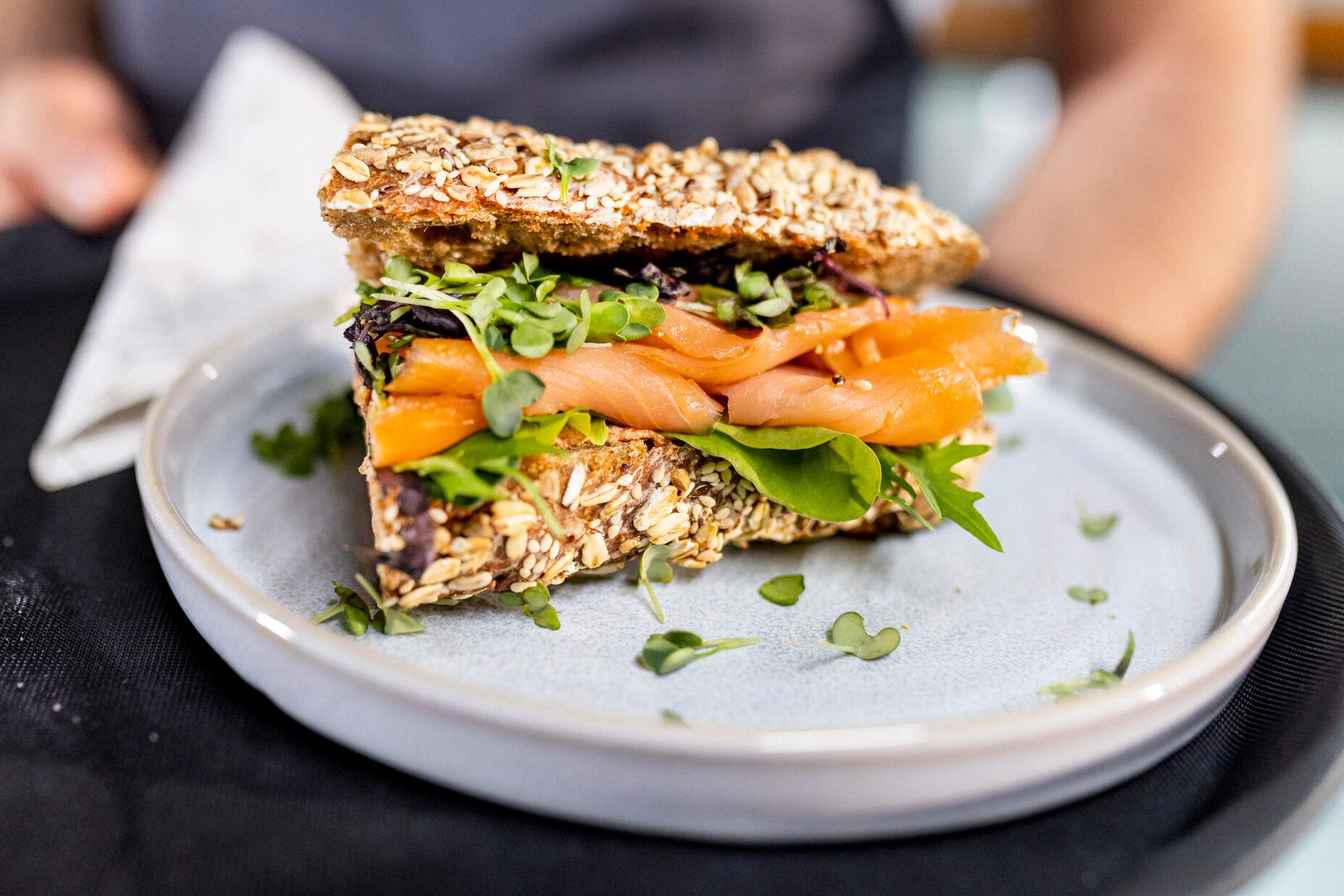 close up from fresh salmon sandwich serving from waiter