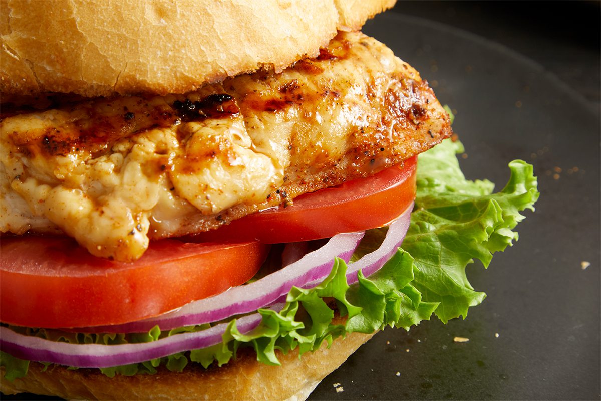 Eye Level horizontal image of a Cajun Chicken Sandwich. The sandwich features a toasted kaiser roll filled with a seasoned chicken breast topped with melted cheese, tomato slices, red onion rings, and crisp green lettuce leaves. This close-up shot highlights the texture of the chicken and the fresh ingredients.