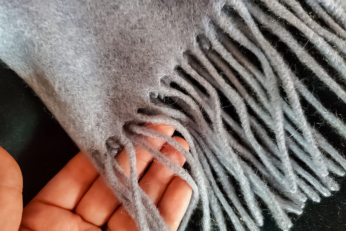 Quince Mongolian Cashmere Throw